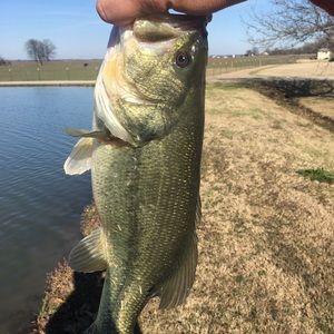 Meet your Posher, Scott